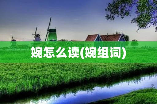 婉怎么读(婉组词)
