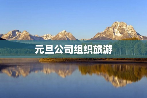 元旦公司组织旅游