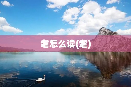 耄怎么读(耄)