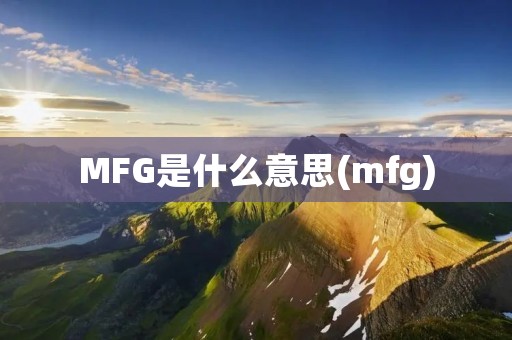 MFG是什么意思(mfg)