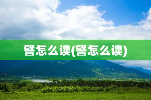 譬怎么读(譬怎么读)