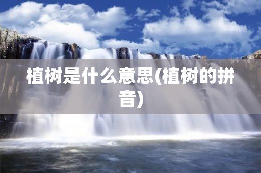 植树是什么意思(植树的拼音)