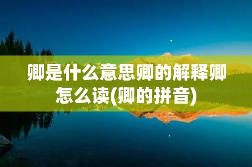 卿是什么意思卿的解释卿怎么读(卿的拼音)