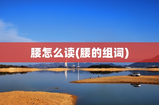 腰怎么读(腰的组词)