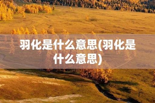羽化是什么意思(羽化是什么意思)