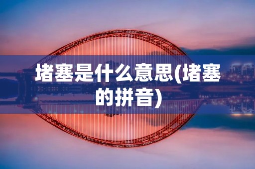 堵塞是什么意思(堵塞的拼音)