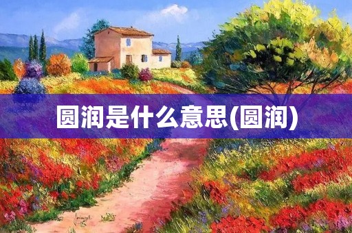 圆润是什么意思(圆润)