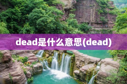 dead是什么意思(dead)