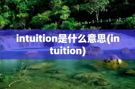 intuition是什么意思(intuition)