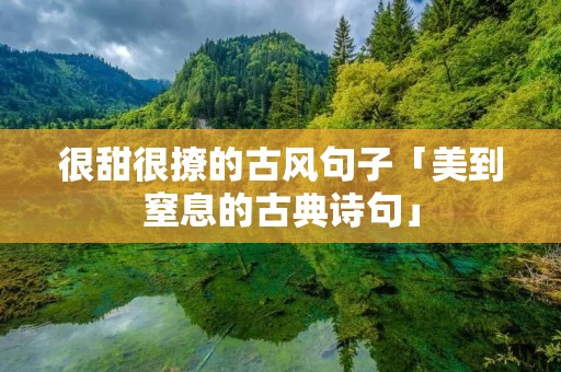 很甜很撩的古风句子「美到窒息的古典诗句」