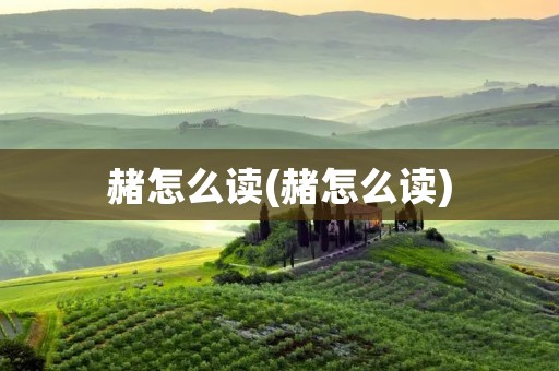 赭怎么读(赭怎么读)