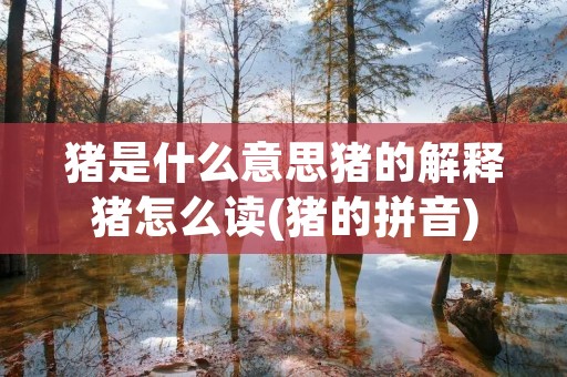 猪是什么意思猪的解释猪怎么读(猪的拼音)