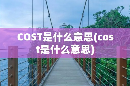 COST是什么意思(cost是什么意思)