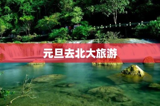 元旦去北大旅游