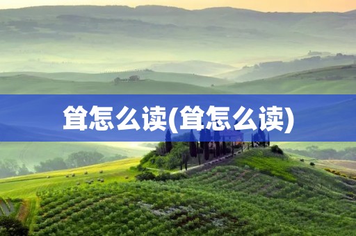 耸怎么读(耸怎么读)
