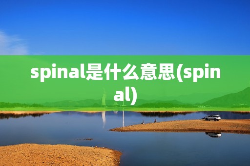 spinal是什么意思(spinal)