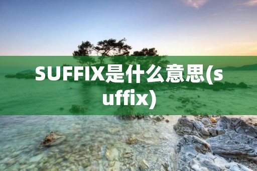 SUFFIX是什么意思(suffix)