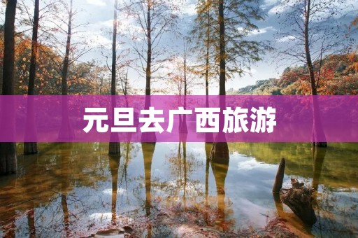 元旦去广西旅游 元旦去广西旅游