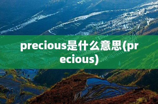 precious是什么意思(precious)