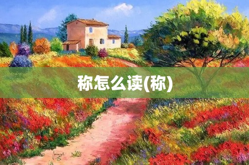 称怎么读(称)