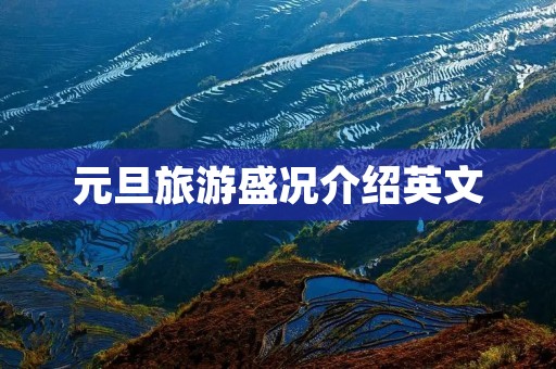 元旦旅游盛况介绍英文