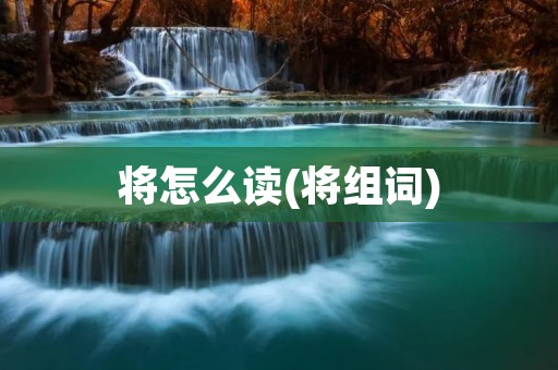将怎么读(将组词)