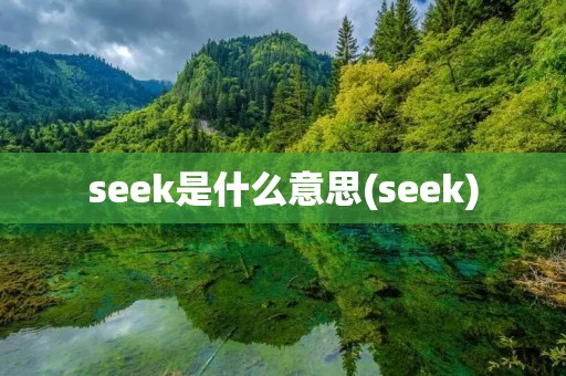 seek是什么意思(seek)