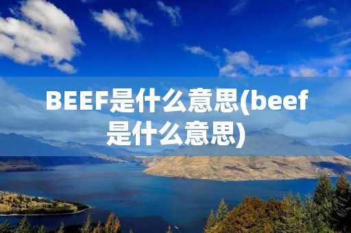 BEEF是什么意思(beef是什么意思)