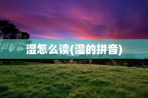 湿怎么读(湿的拼音)