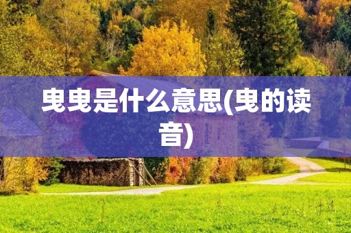 曳曳是什么意思(曳的读音)