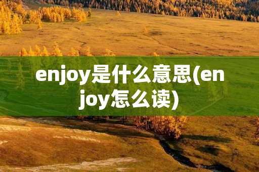 enjoy是什么意思(enjoy怎么读)