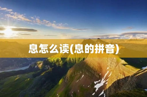 息怎么读(息的拼音)