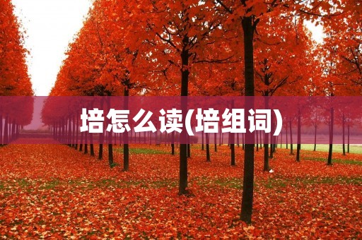培怎么读(培组词)