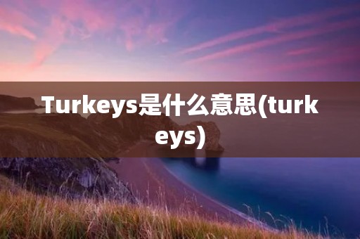 Turkeys是什么意思(turkeys)