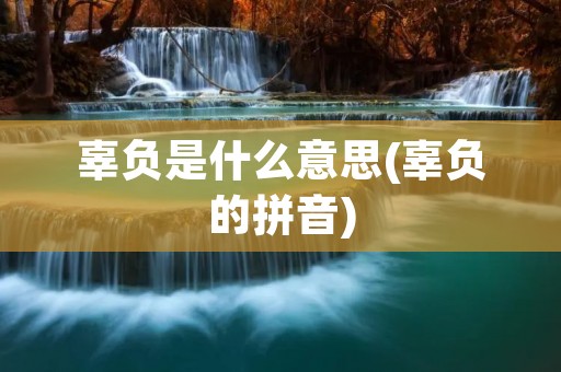 辜负是什么意思(辜负的拼音)