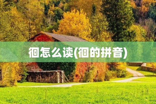 徊怎么读(徊的拼音)
