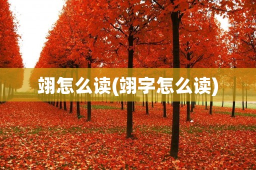 翊怎么读(翊字怎么读)
