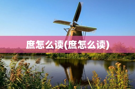 庶怎么读(庶怎么读)
