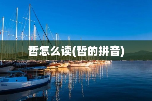 哲怎么读(哲的拼音)