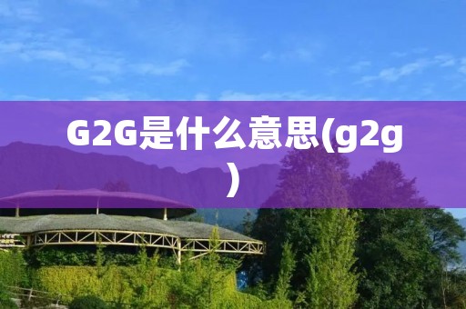 G2G是什么意思(g2g)