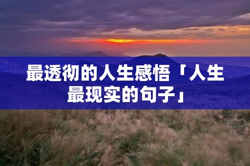 最透彻的人生感悟「人生最现实的句子」