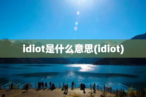 idiot是什么意思(idiot)