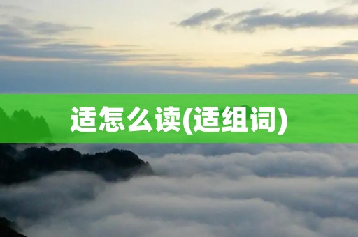 适怎么读(适组词)