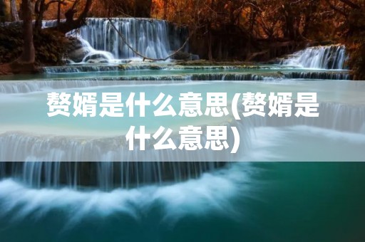 赘婿是什么意思(赘婿是什么意思)