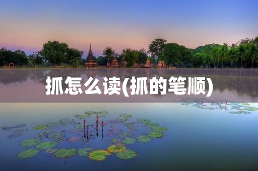 抓怎么读(抓的笔顺)