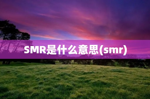 SMR是什么意思(smr)