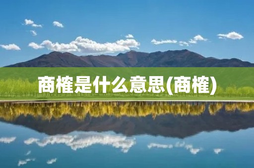 商榷是什么意思(商榷)