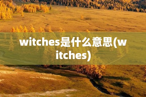 witches是什么意思(witches)