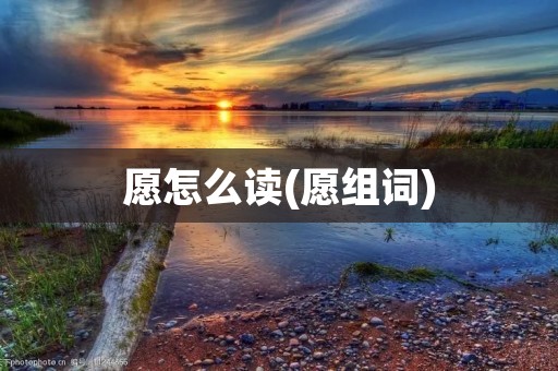 愿怎么读(愿组词)