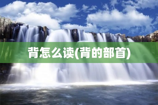 背怎么读(背的部首)